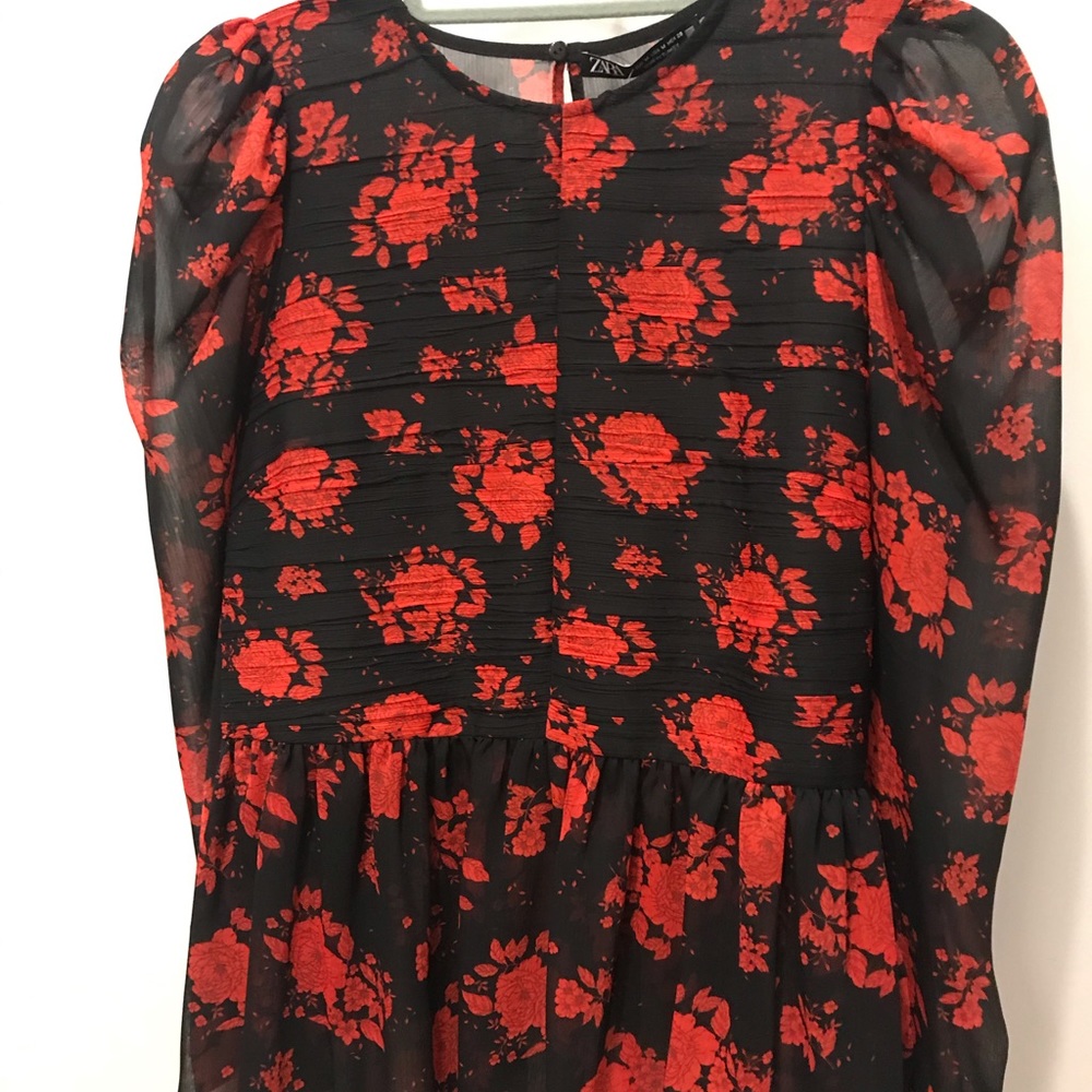Zara semi sheer long sleeved peplum top